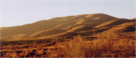 desierto_contraluz
